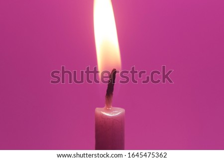 Close-up of pink birthday candle. Clean background, full color. Space for text.