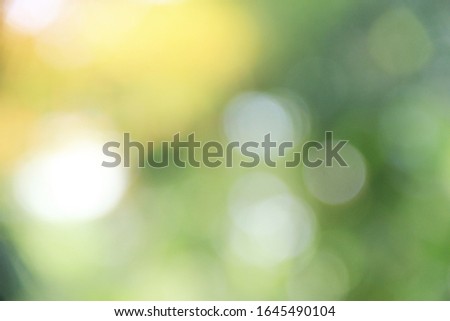 soft blur bokeh abstract plant background.