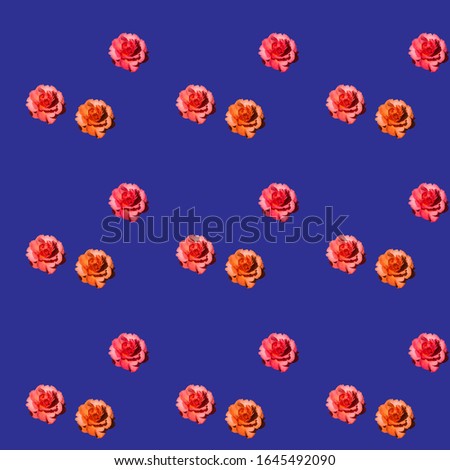 Bright colorful pattern with roses on a dark purple background