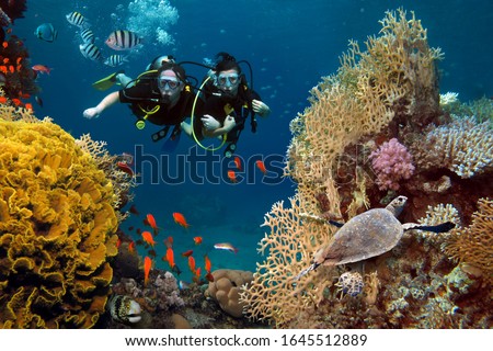 The loving couple dives among corals and fishes in the ocean Royalty-Free Stock Photo #1645512889
