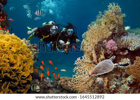 The loving couple dives among corals and fishes in the ocean Royalty-Free Stock Photo #1645512892