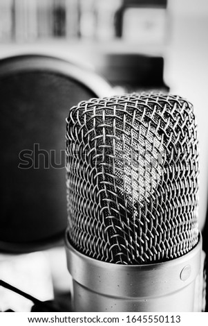 capsule and membrane of a silver condenser microphone seen in detail - Black and White