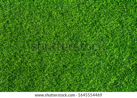Green artificial grass in the whole picture