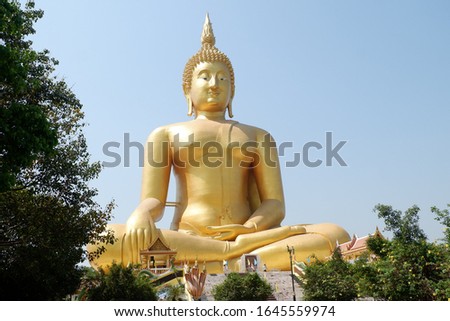 The large golden yellow Buddha statue stands in the middle of a field, taller than a tree on sky background.
