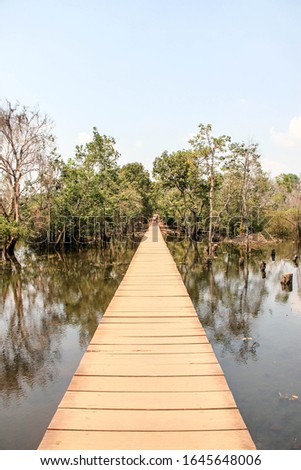 Wooden bridge over a small river in Ankor Wat. Connection between two temples, Cambodia