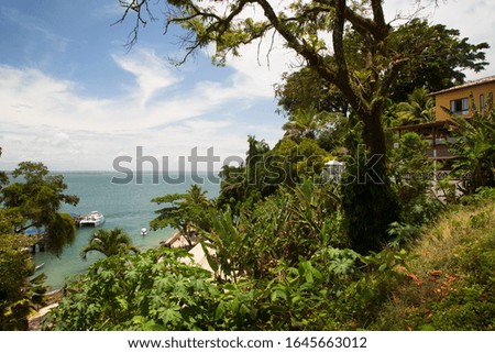 panoramic view at sea and coastline from ta dense tropical overgrown top of a hill
