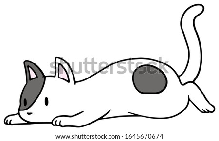 Vector illustration of a fallen gray and white cat