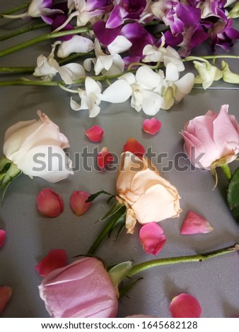 beautiful roses orchids flowers isolated on table