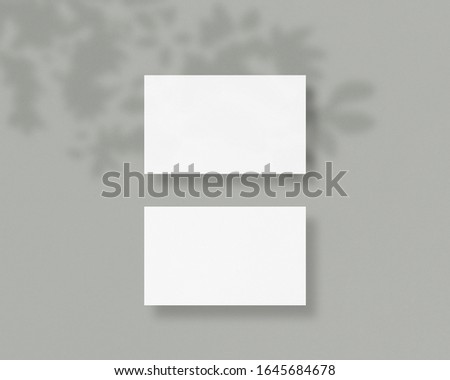Blank business cards with soft shadow. Mockup of two horizontal business cards. Mockup scene. Photo mockup with clipping path.
