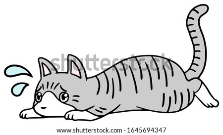 Vector illustration of a fallen silver tabby cat with troubled face