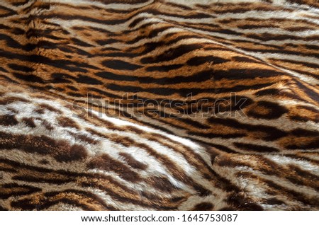beautiful feline fur background texture
