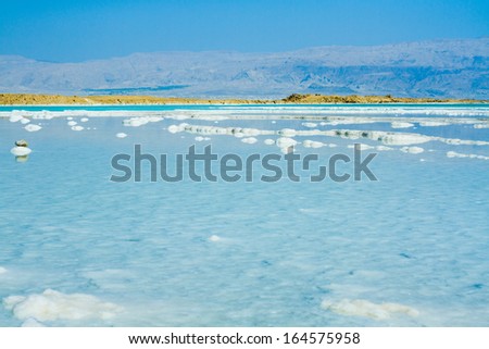  coast of the Dead Sea , Israel