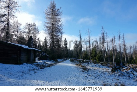Hiking in the German Harz National park into the snowy wild 2020