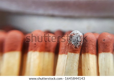 Close-up of a single burnt match in a group of matches.