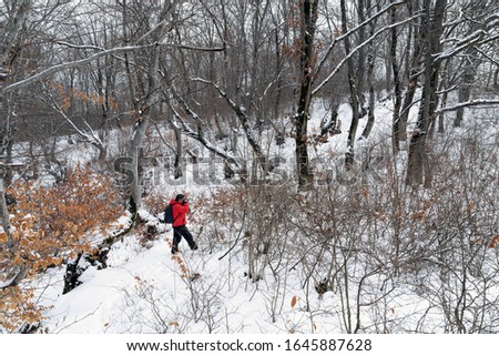 Nature photographer in winter mountain forest