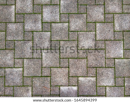 wet and dark after rain pavement, laid out of a light gray rough square tile of two calibers with straight lines with sprouted bright green moss between the elements