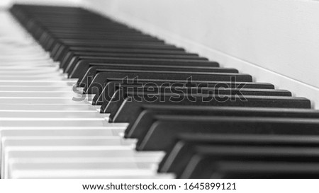 piano or organ keyboard showing white and black notes
