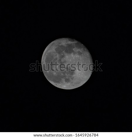 A close up to the super moon in 2019
