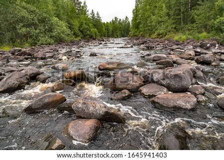 Forest river in cloudy weather. At the rapids, water quickly runs between the stones, creating a beautiful picture.