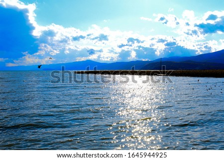 Beauty picture in the lake struga.
