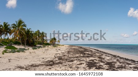 Deserted beach on the east coast of grand turk island. 