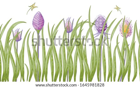Seamless vector brush of meadow purple-pink flowers and green grass. Ecology style. For various design and print, postcards.