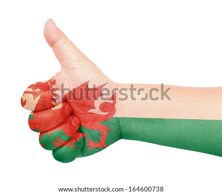 Wale flag on thumb up gesture like icon on white background