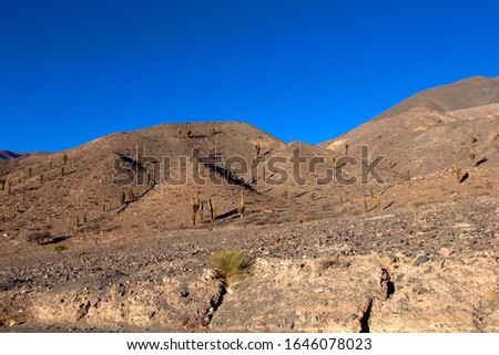 Arid landscapes of The Puna, near to San Antonio of the Cobres,  Salta, North West, Argentina.