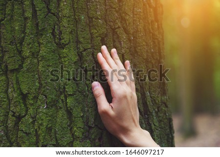 young female hand touching old tree bark, protect nature, green eco-friendly lifestyle, sunny morning, copy space Royalty-Free Stock Photo #1646097217