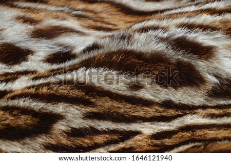 cat fur background texture pattern