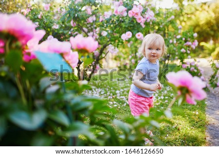Adorable little girl outdoors in park on a sunny day. Toddler looking at pink peonies. Kid exploring nature