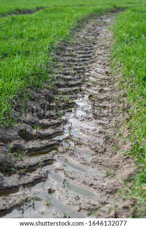 traces of agricultural machinery in wet slippery mud among green grass on the field