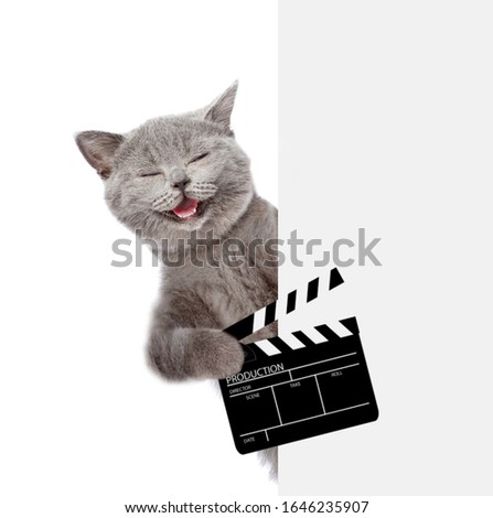 Hapy cat holds clapper board for making video cinema behind white banner. isolated on white background