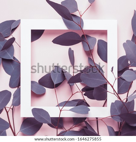 Natural Elegant background. Minimal summer concept. Eucalyptus branches and white square frame on pink background.
