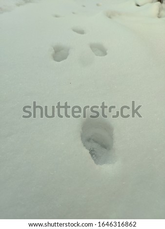 Someone's footprints in the snow
