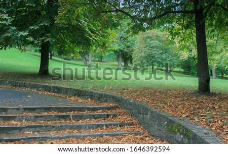 Walking in the autumnal park near Marienberg Fortress, Wuerzburg, Germany