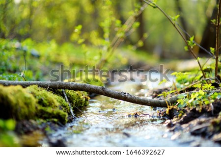 Small and narrow stream winding throught the dense green forest on early spring Royalty-Free Stock Photo #1646392627