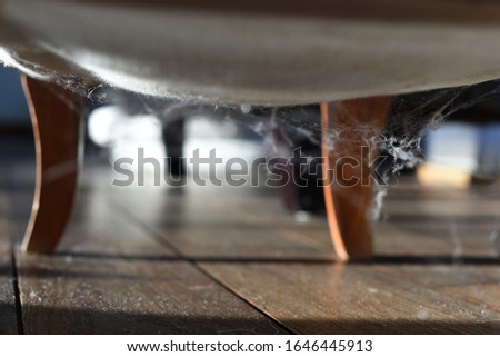 Cobwebs around wooden legs of chair on dark brown wooden floor backlit sunshine Royalty-Free Stock Photo #1646445913