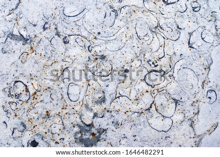 Beautiful and elegant marble surface textures in high resolution