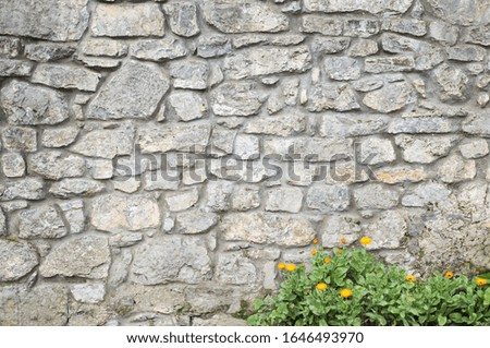 grey limestone wall with orange flowers at the base.for background