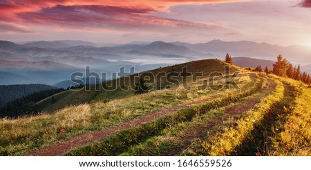 Wonderful nature in mountains. Awesome Summer landscape during sunset. Rural area at mountain at sunrise. Picturesque view on path through grassy meadow with colorfull sky. picture of wild area. 