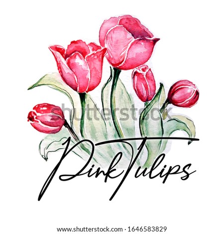Beautiful Tulips Watercolor Art Illustration