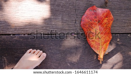 Children foot and a leaf on floor.