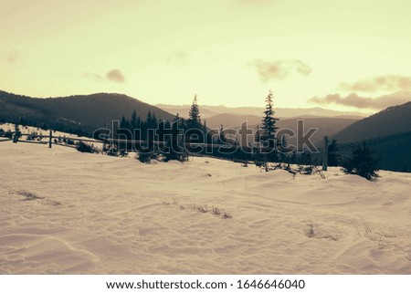 Winter Carpathian mountains and a village before sunrise, panoramic view, rural landscape