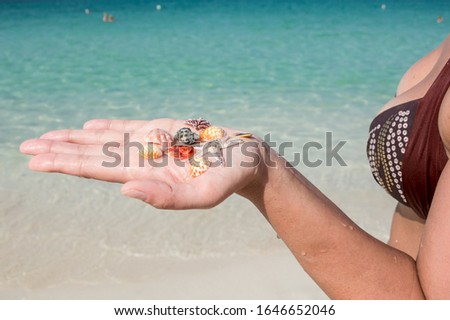 Colorful seashells in a woman's hand on the background of the sea.