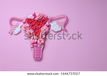Women's reproductive system, uterus and ovaries. Art concept of female reproductive health. Paper flowers, flat lay, copy space for text Royalty-Free Stock Photo #1646737027