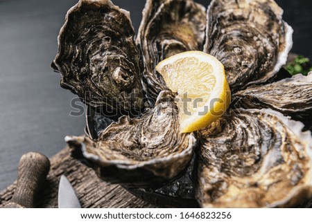 healthy food. fresh oysters ready to eat
