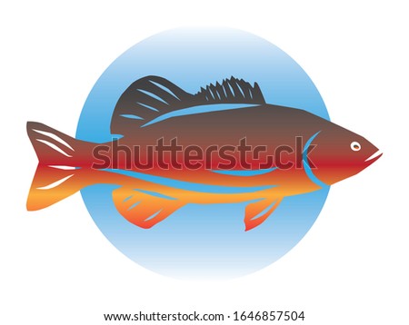 vector image of a spotted bass fish