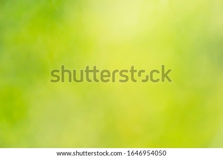 Nature green sunny blur bokeh background