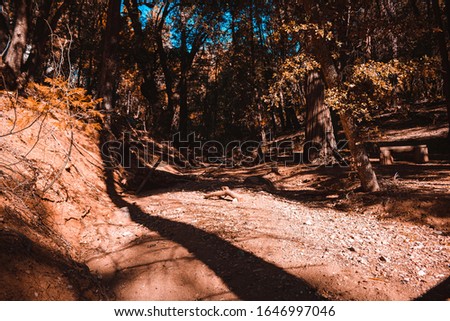 Pictures of a trail in Julian California. 